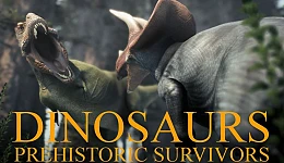 Dinosaurs Prehistoric Survivors