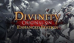 Divinity: Original Sin - Enhanced Edition