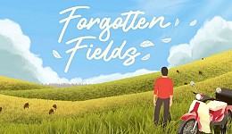 Forgotten Fields