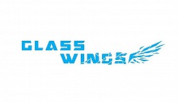 Glass Wings