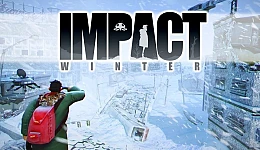 Impact Winter