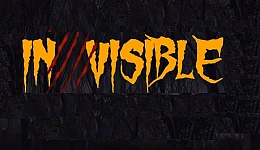 Invisible