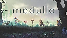 Medulla