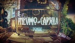 Pnevmo-Capsula: Domiki