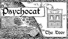 Psychocat: The Door
