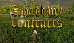 Shadowy Contracts