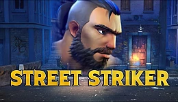 Street Striker