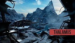 Thalamus