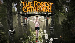 The Forest Cathedral