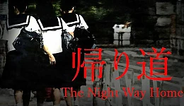 The Night Way Home
