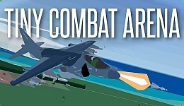 Tiny Combat Arena