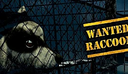 Wanted Raccoon