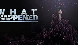 What Happened